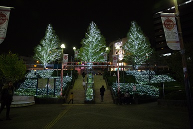 3.1写真①